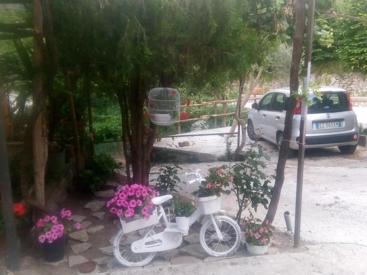 Bed and Breakfast Amaa Casa Vico Equense Exterior foto